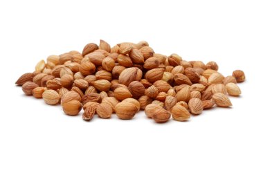 Mahlep veya Mahaleb tohumları izole