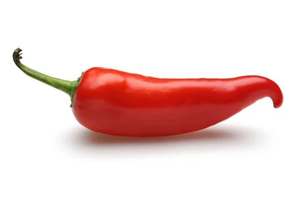 Färsk röd paprika isolerad på vit — Stockfoto
