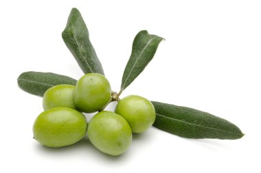 beyaz izole yaprakları ile yeşil zeytin