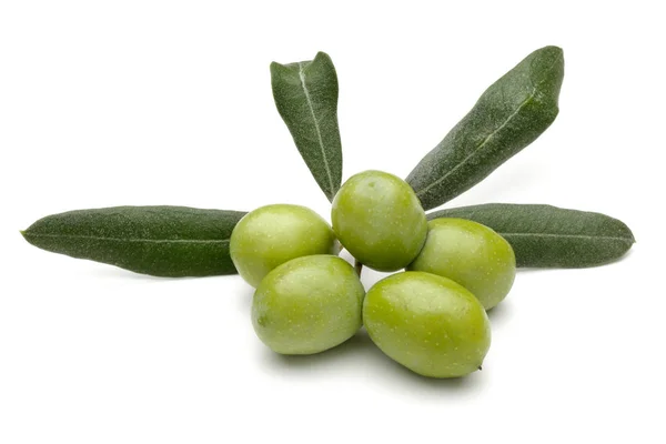 Zielone oliwki z liści na białym tle — Zdjęcie stockowe