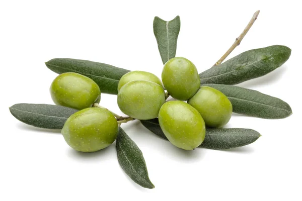 beyaz izole yaprakları ile yeşil zeytin