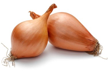 Fresh shallots, onions isolated on white clipart
