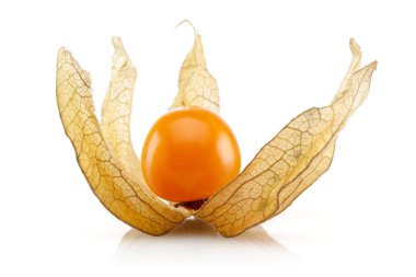 Physalis meyve veya altın Berry izole