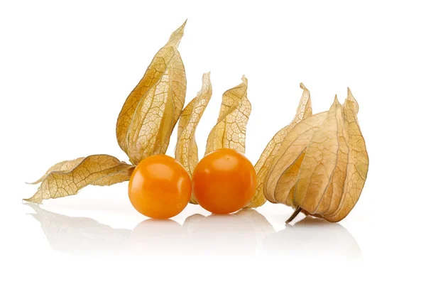 Frutto Physalis o bacca d'oro isolato — Foto Stock