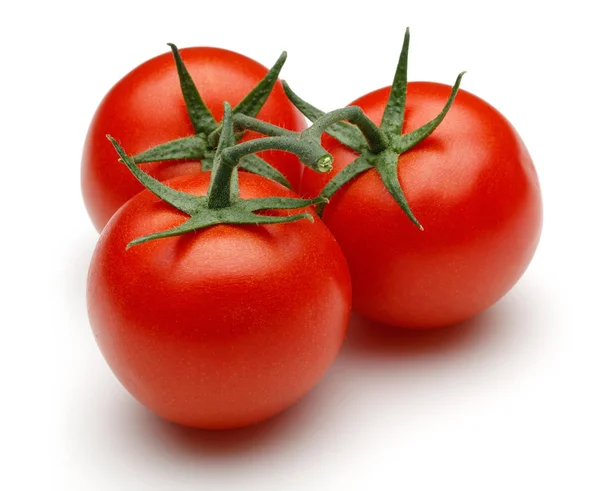 Beyaz üzerinde izole tüm taze domates — Stok fotoğraf