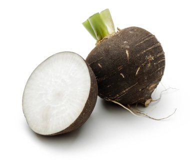 Beyaz üzerinde izole taze siyah turp kökleri