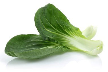 Bok Choy veya Çin lahana izole