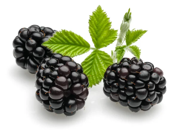 Fresh blackberries with leaves isolated on white — Stock Photo, Image