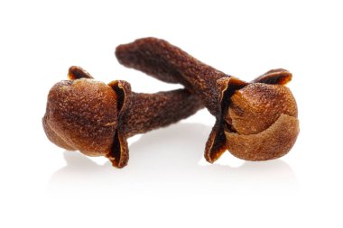 Kuru karanfil tomurcukları beyaz izole