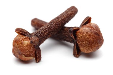 Kuru karanfil tomurcukları beyaz izole