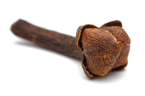 Dry clove bud isolated on white — Stock Photo, Image