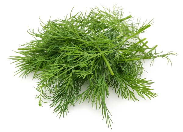 Ett gäng färska gröna dill isolerad på vitt — Stockfoto