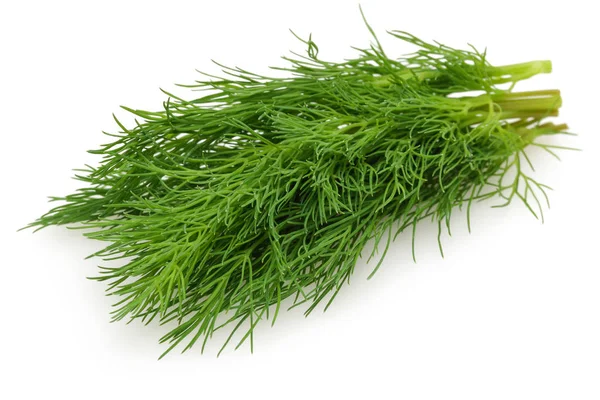 Ett gäng färska gröna dill isolerad på vitt — Stockfoto