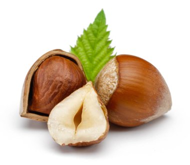 Fındık ve yaprak beyaz izole