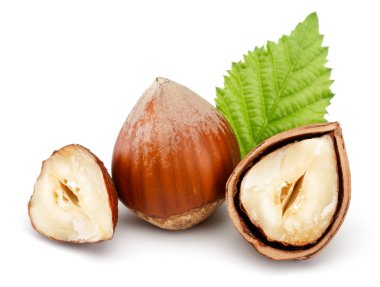 Fındık ve yaprak beyaz izole