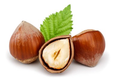 Fındık ve yaprak beyaz izole