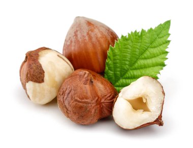 Fındık ve yaprak beyaz izole