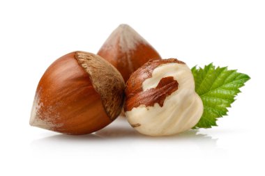 Fındık ve yaprak beyaz izole