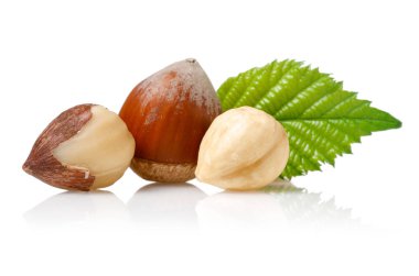 Fındık ve yaprak beyaz izole