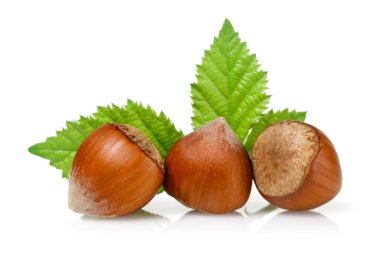 Fındıklar ve yapraklar beyaz üzerine izole