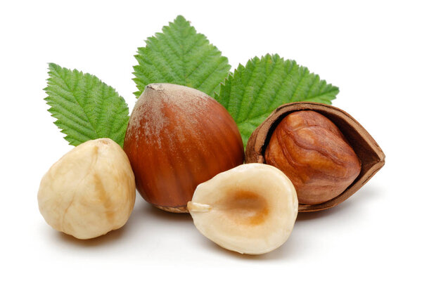 Hazelnuts and leaves isolated on white