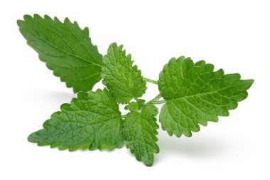 Demet limon merhemi veya melissa bitki izole