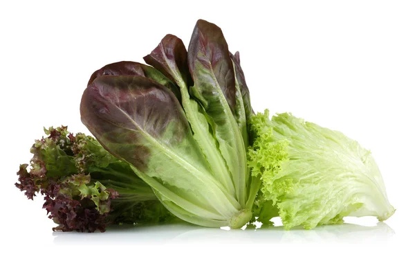 Fresh red lettuce isolated on white — Stock Photo, Image