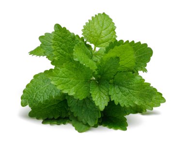 Demet limon merhemi veya melissa bitki izole