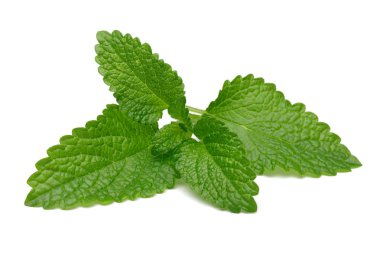 Demet limon merhemi veya melissa bitki izole
