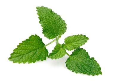 Demet limon merhemi veya melissa bitki izole