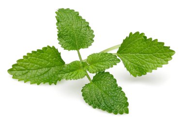 Demet limon merhemi veya melissa bitki izole