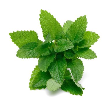Demet limon merhemi veya melissa bitki izole