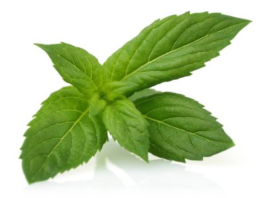 Taze nane yaprakları üzerinde beyaz izole