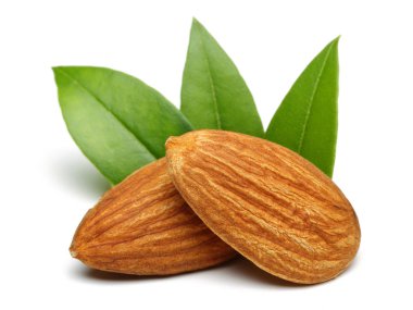 Beyaz izole yaprakları ile badem Grubu