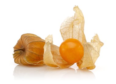 Physalis meyve veya kış kiraz beyaz izole
