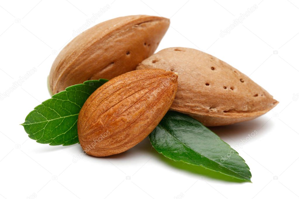 Group of almonds with leaves isolated on white
