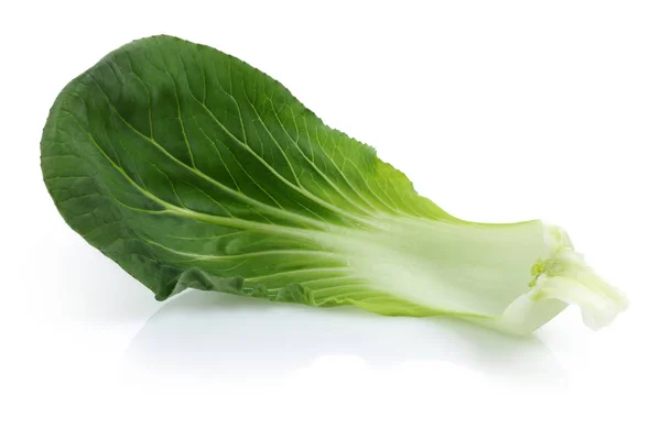 Bok Choy of Chinese kool geïsoleerd op wit — Stockfoto