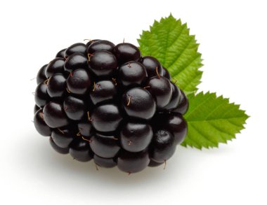 Beyaz üzerinde izole yaprak ile taze böğürtlen