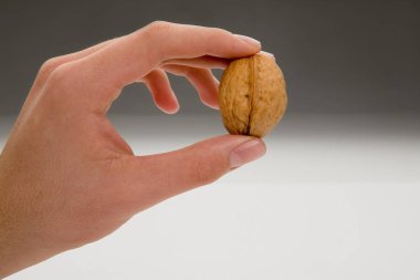 Ceviz parmakları arasında tutun