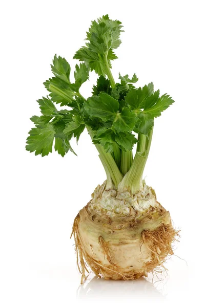 Fresh celeriac root with celery stalks isolated — Stock Photo, Image