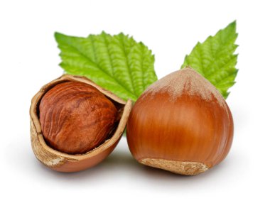 Yeşil yapraklı bir grup fındık izole