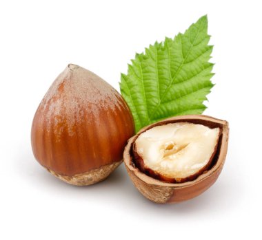 Yeşil yapraklı bir grup fındık izole