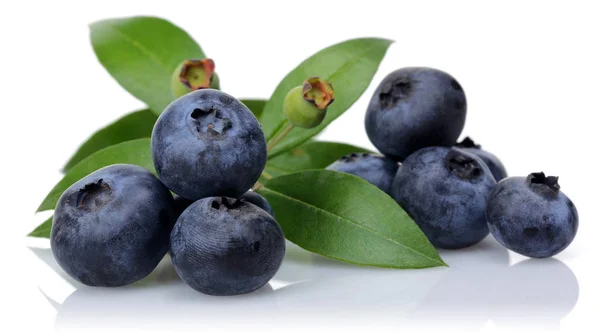 Unreife und reife Blaubeeren mit isolierten Blättern — Stockfoto