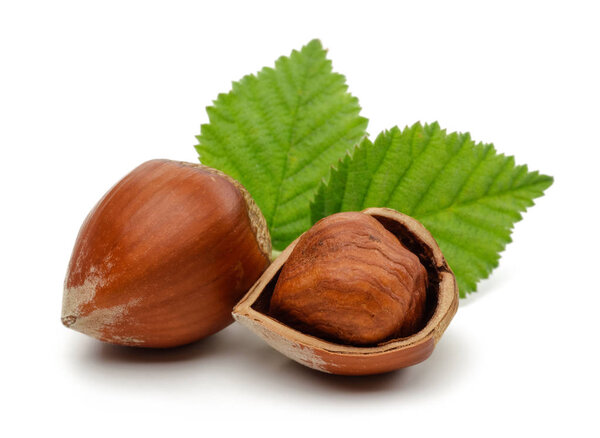 Group of hazelnuts with green leaves isolated