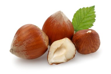 Yeşil yapraklı bir grup fındık izole