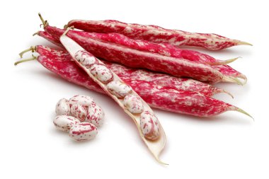 Beyaz üzerinde izole taze Pinto fasulye