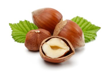 fındık yaprağı üzerinde beyaz izole