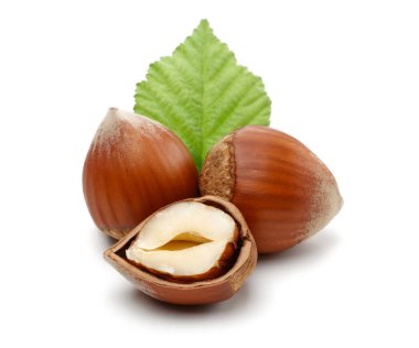 fındık yaprağı üzerinde beyaz izole