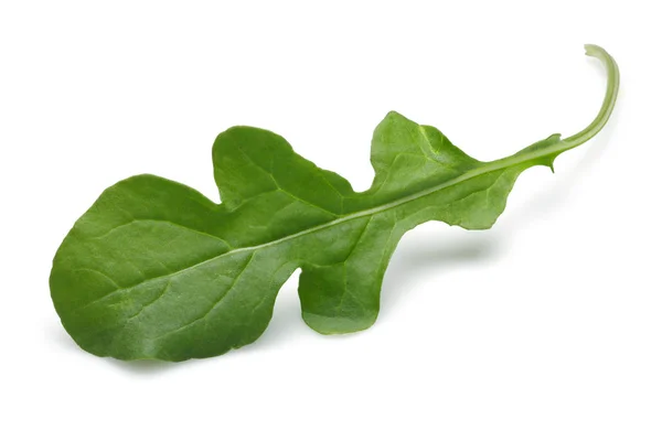 Una hoja de rúcula fresca aislada en blanco —  Fotos de Stock