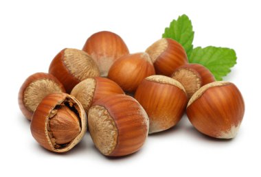 Yeşil yapraklı bir grup fındık izole